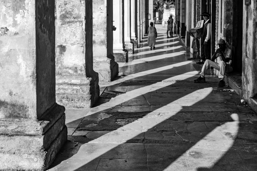 Prado y sombras